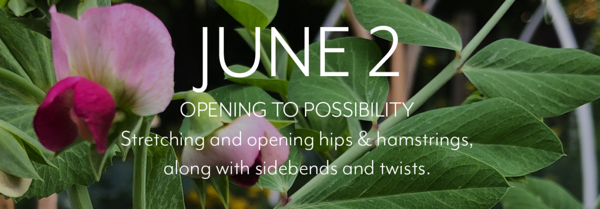 Morning Dharma June 2