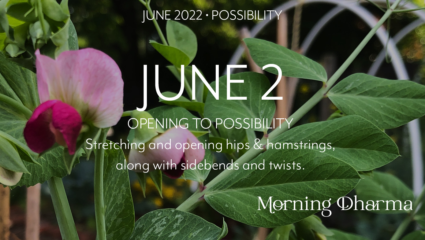 Morning Dharma June 2