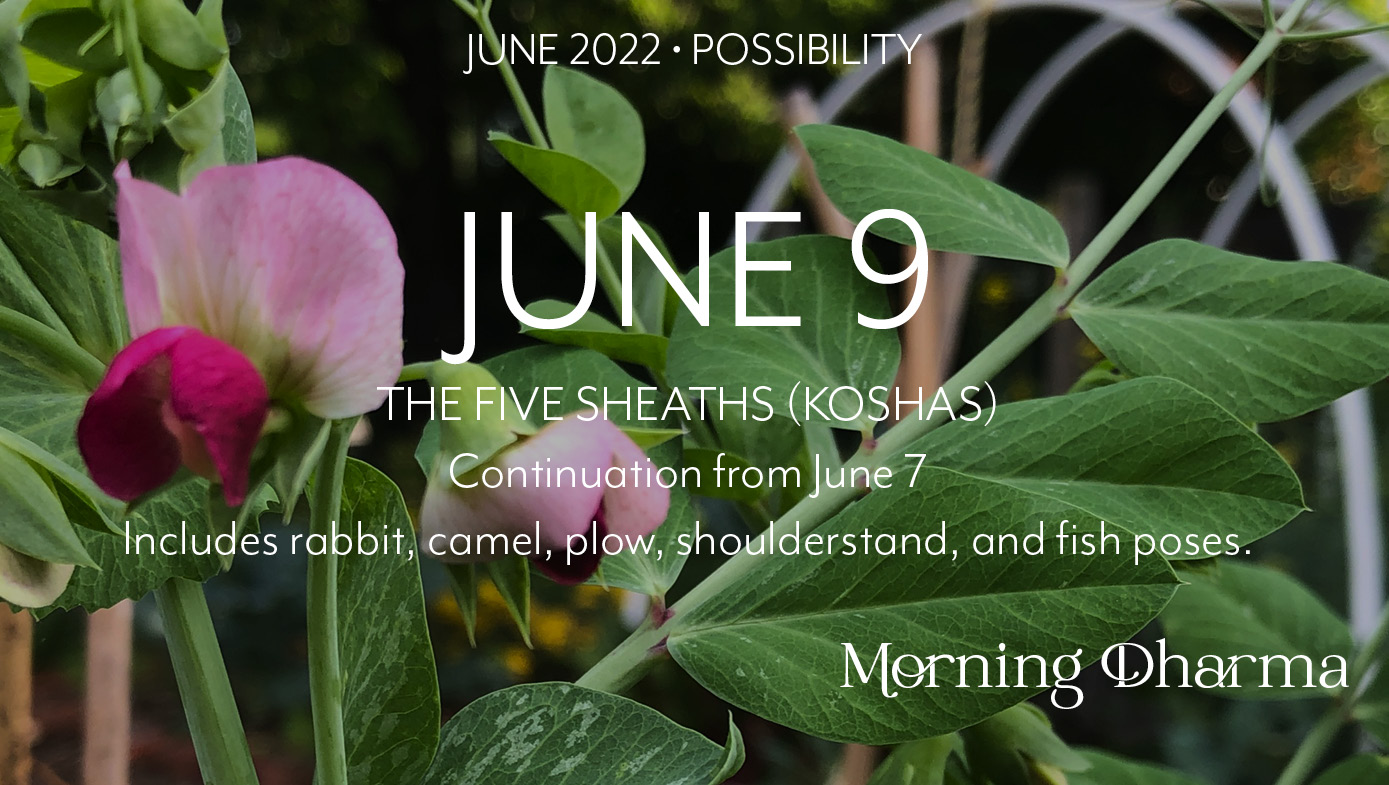Morning Dharma June 9 2022
