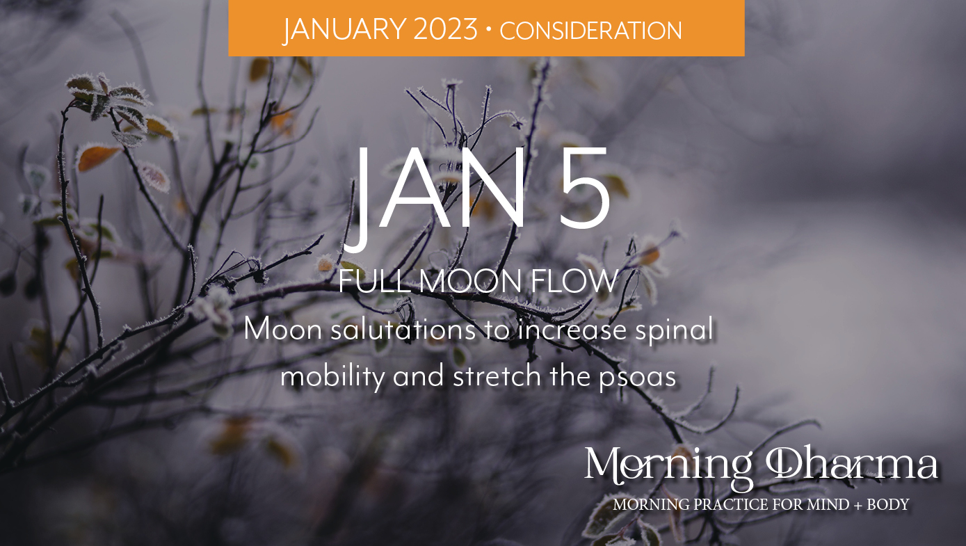 Morning Dharma - Jan 5 2023