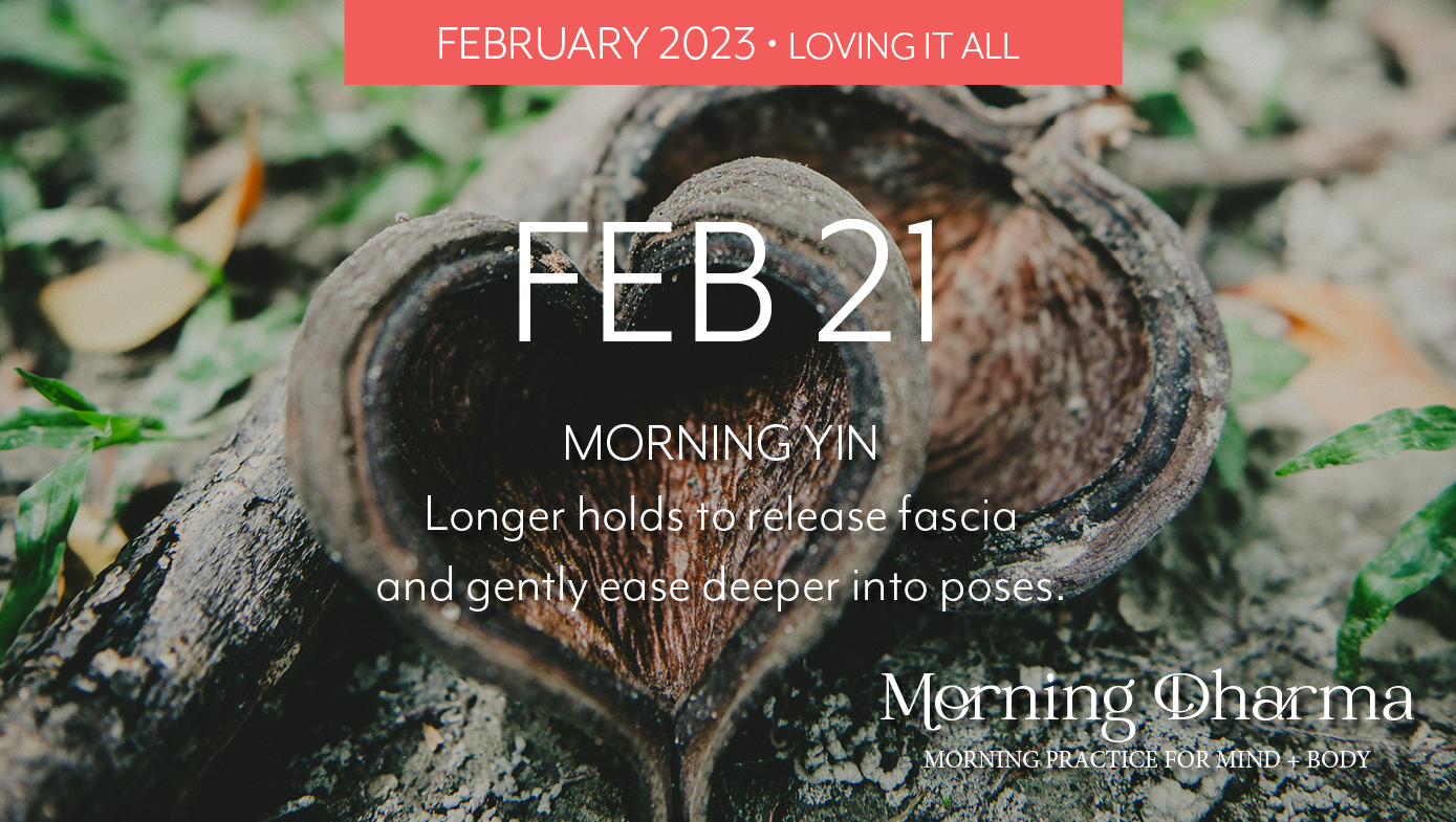 Morning Dharma - Feb 21 2023 #6