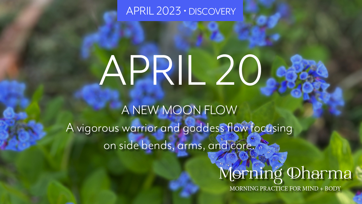 Morning Dharma - April 20 2023 - 6